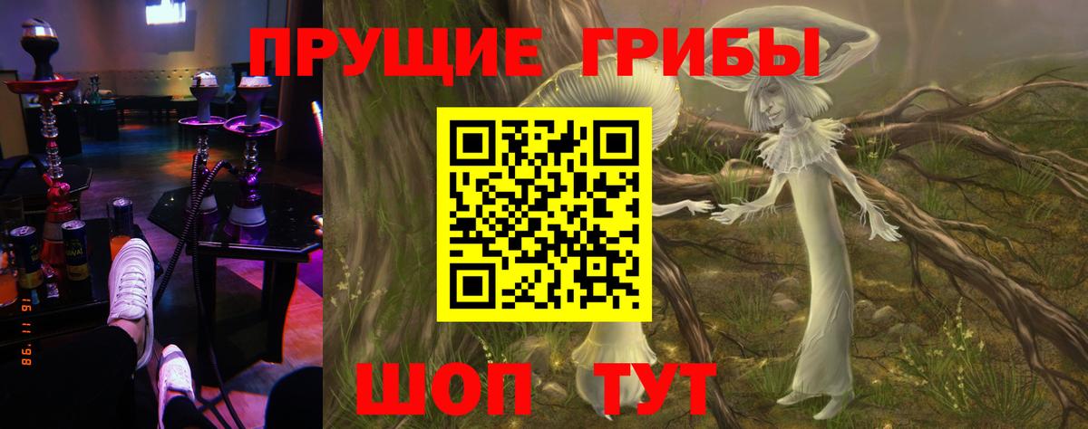 Псилоцибиновые грибы мицелий  Галлюциногенные грибы GOLDEN TEACHER  Вход с VPN  Белорецк 